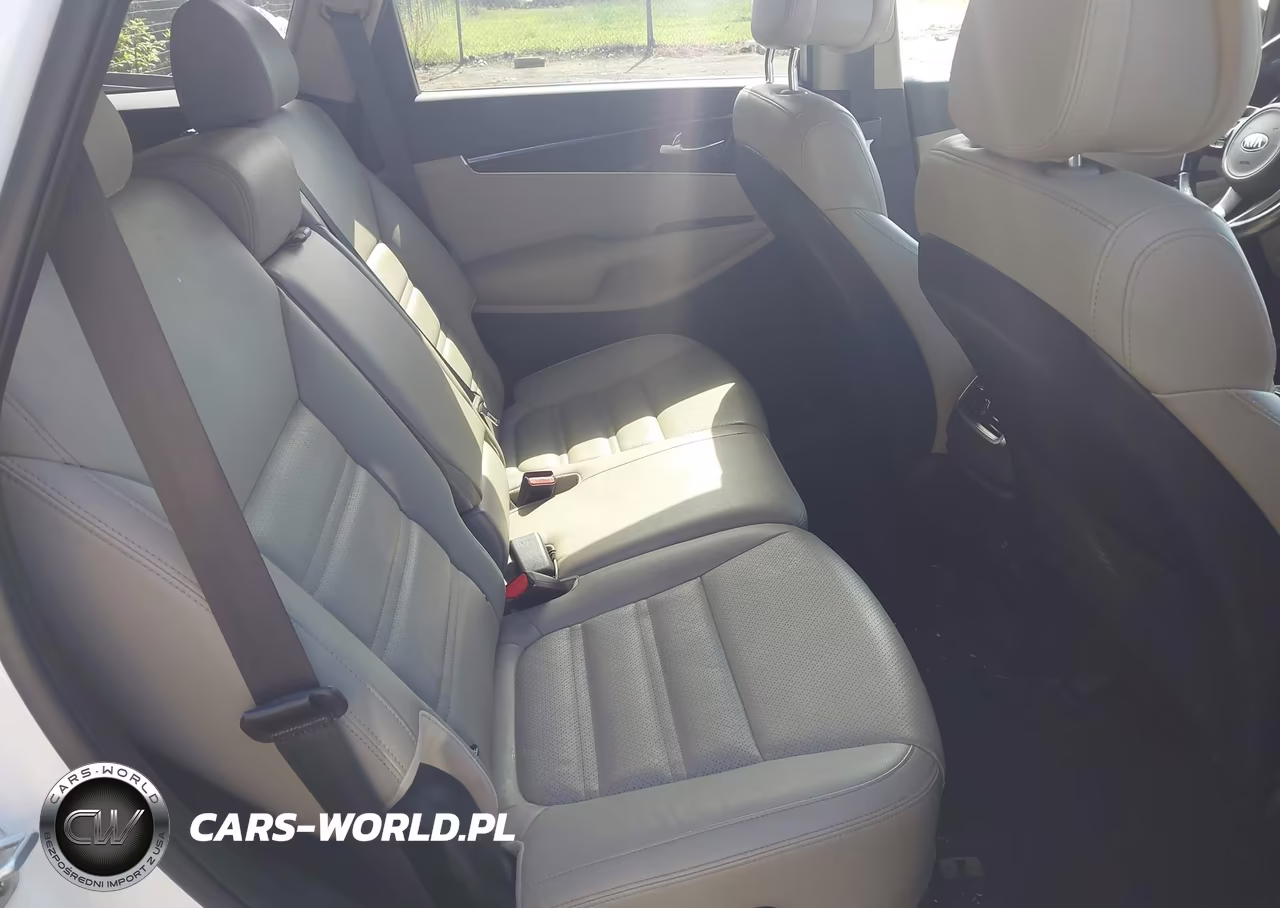 2016 Kia Sorento 3.3L Ex VIN:5XYPH4A55GG174983 - 8