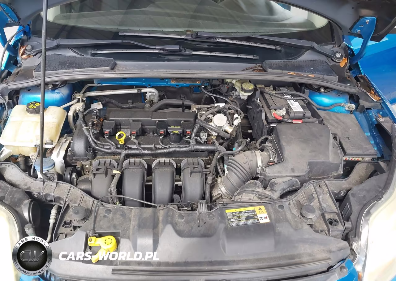 2014 Ford Focus Se VIN:1FADP3K29EL181687 - 10