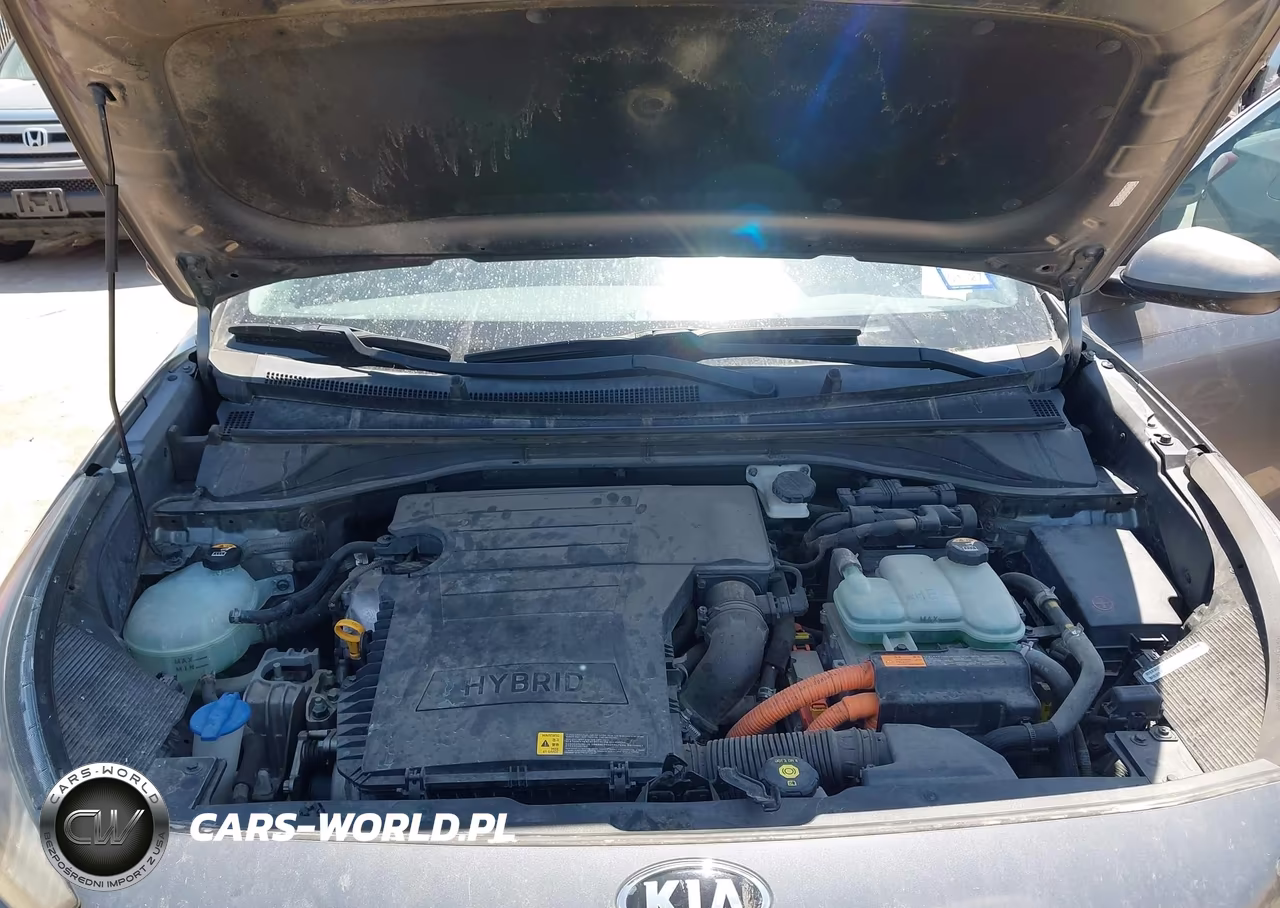 2017 Kia Niro Lx VIN:KNDCB3LC4H5047271 - 10