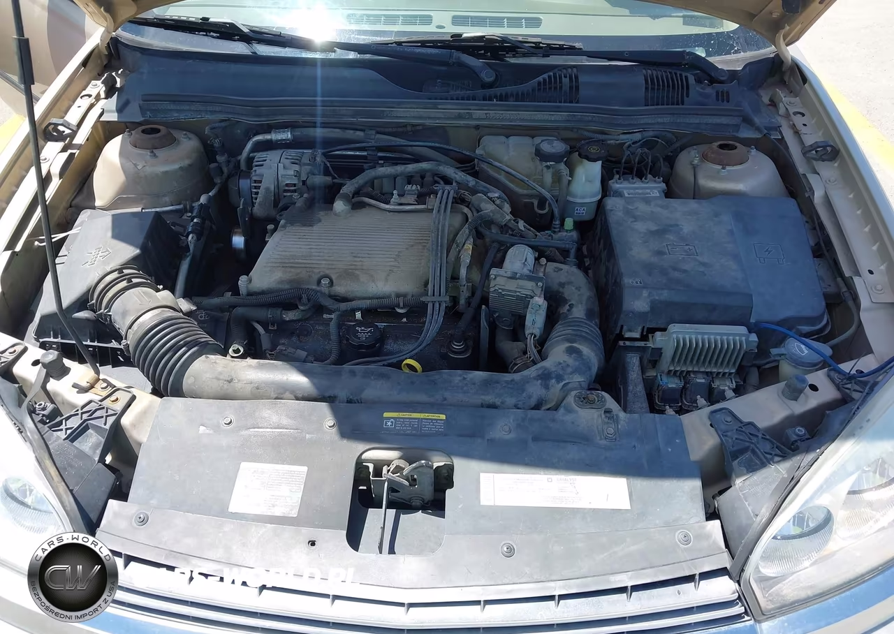 2005 Chevrolet Malibu Ls VIN:1G1ZT54875F163480 - 10