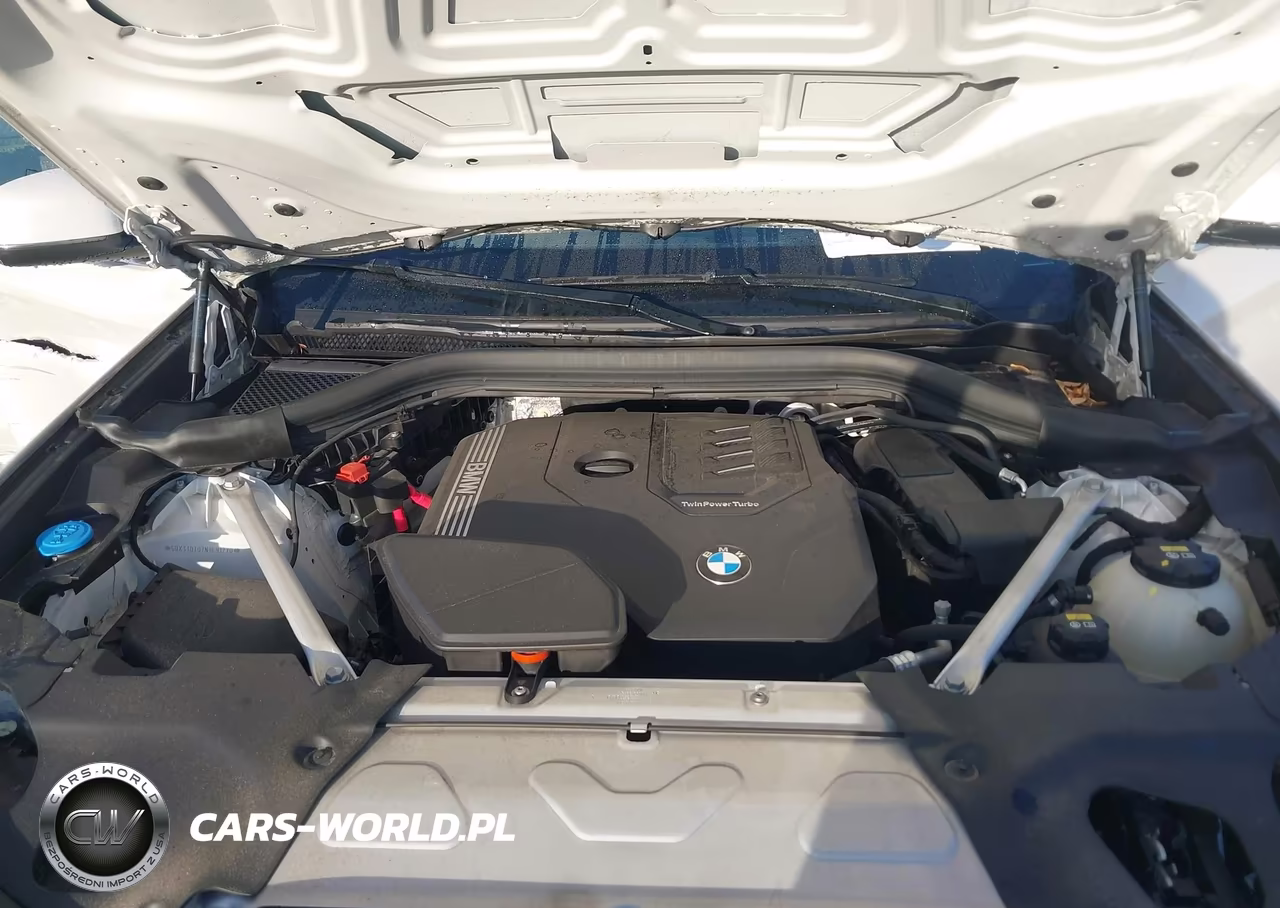 2022 BMW X4 xDrive30I VIN:5UX33DT07N9L91270 - 10