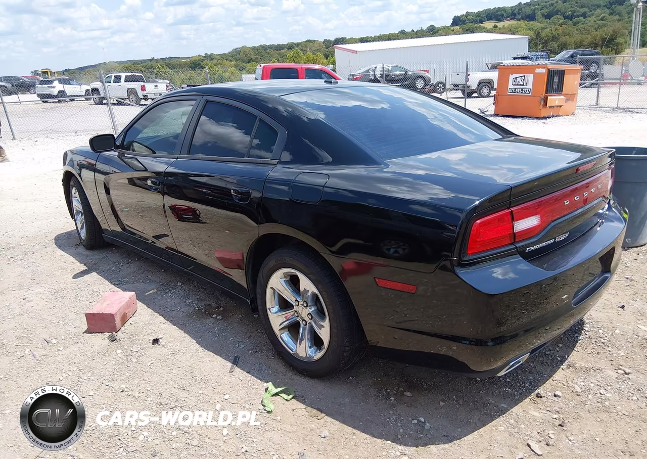 2014 Dodge Charger R-T Plus VIN:2C3CDXCTXEH368581 - 3