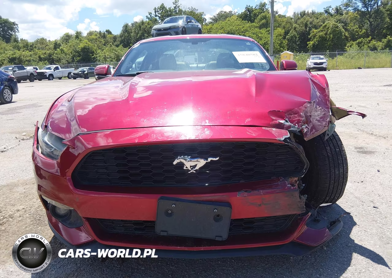 2017 Ford Mustang Ecoboost VIN:1FA6P8TH9H5295304 - 13