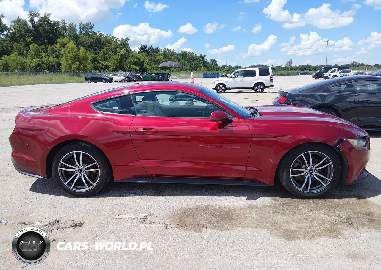 2017 Ford Mustang Ecoboost VIN:1FA6P8TH9H5295304 - 14
