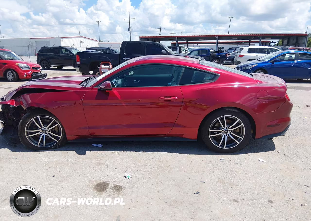 2017 Ford Mustang Ecoboost VIN:1FA6P8TH9H5295304 - 15