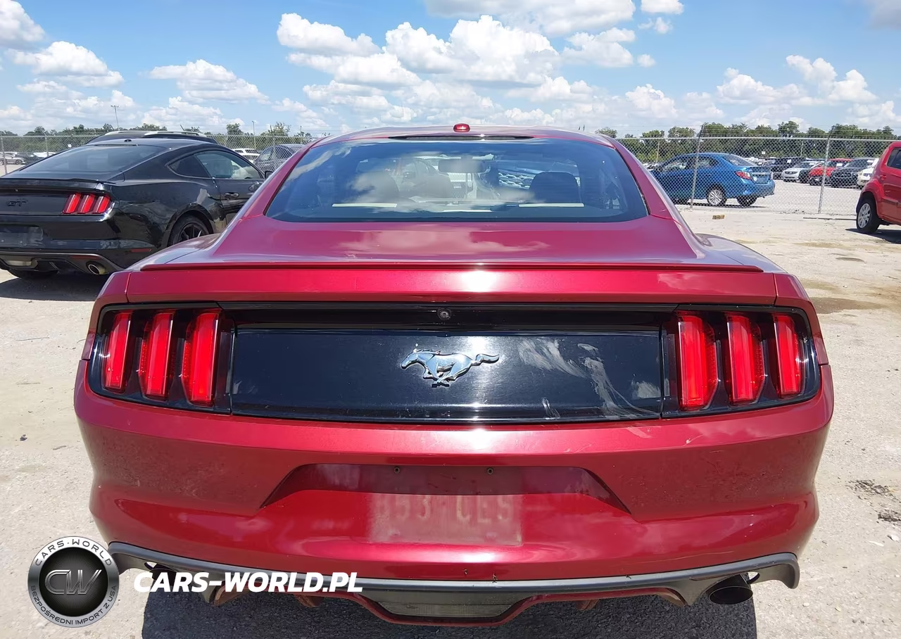 2017 Ford Mustang Ecoboost VIN:1FA6P8TH9H5295304 - 17