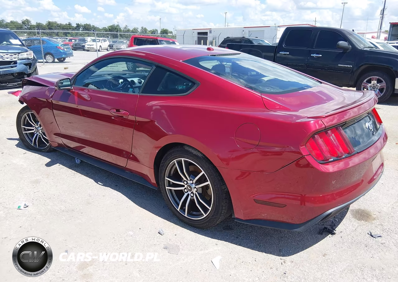 2017 Ford Mustang Ecoboost VIN:1FA6P8TH9H5295304 - 3
