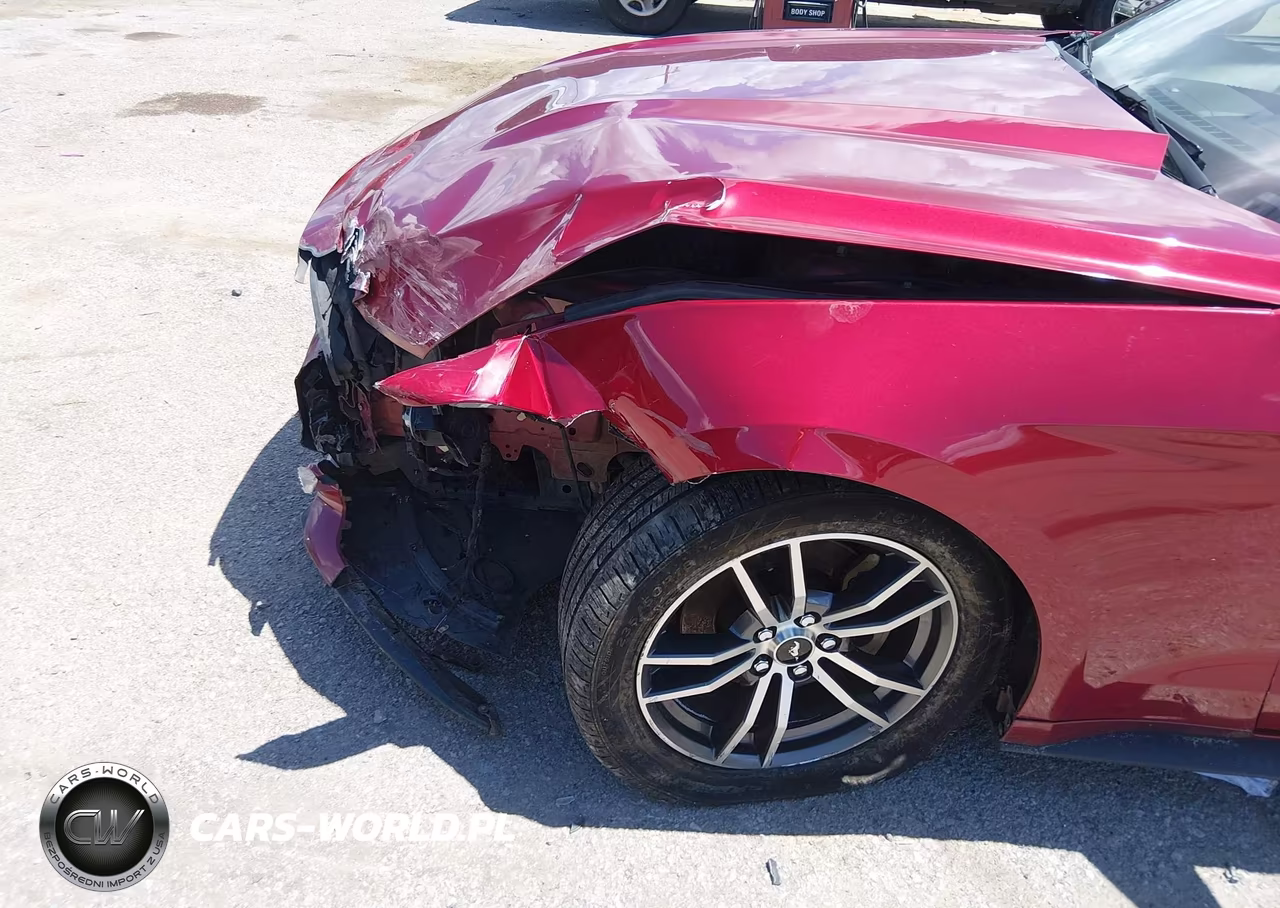 2017 Ford Mustang Ecoboost VIN:1FA6P8TH9H5295304 - 6