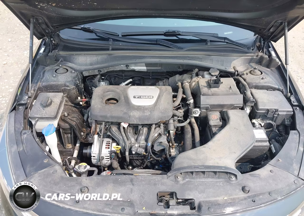 2019 Kia Optima Ex VIN:5XXGU4L10KG314537 - 10