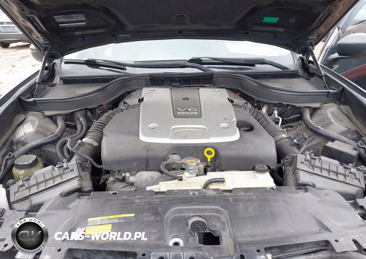 2011 Infiniti G37 Journey VIN:JN1CV6AP9BM300373 - 10