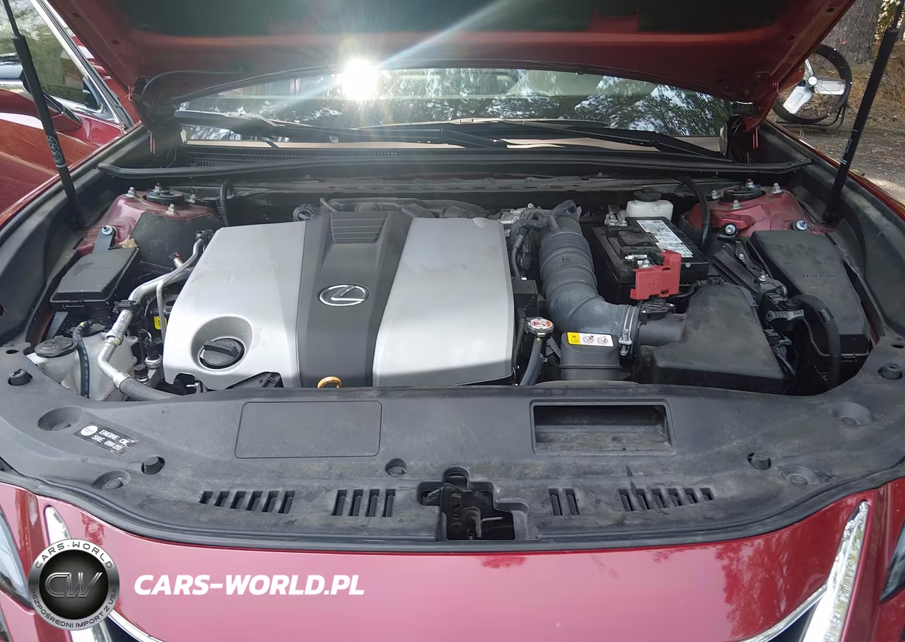 2024 Lexus Es 350 VIN:58ADZ1B10RU168251 - 10