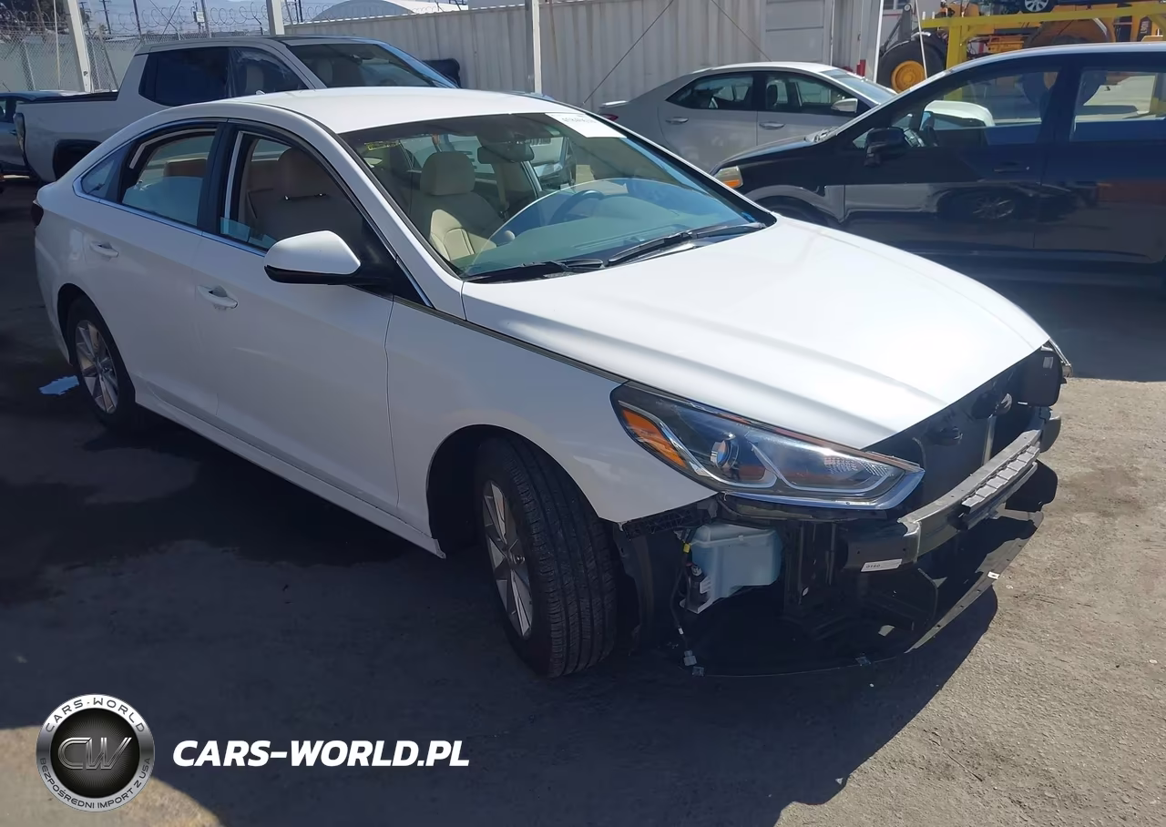 2019 Hyundai Sonata Se VIN:5NPE24AF5KH756665 - 1
