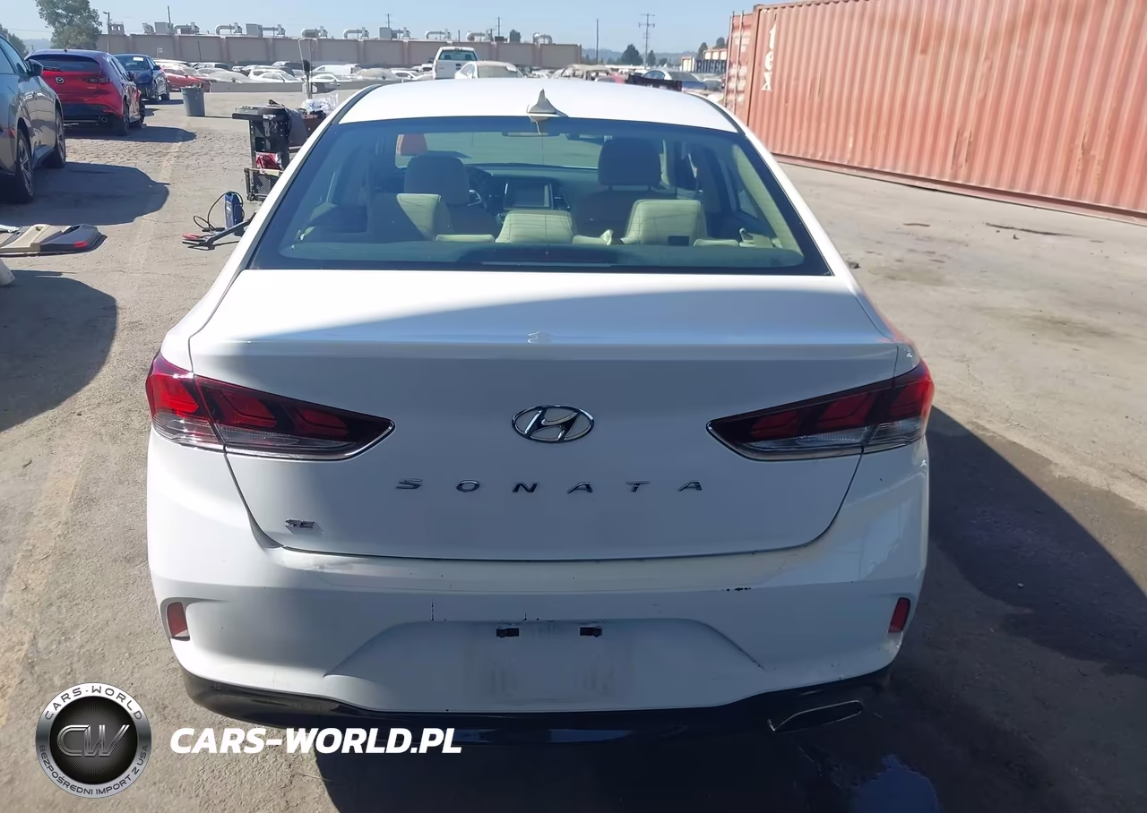2019 Hyundai Sonata Se VIN:5NPE24AF5KH756665 - 17