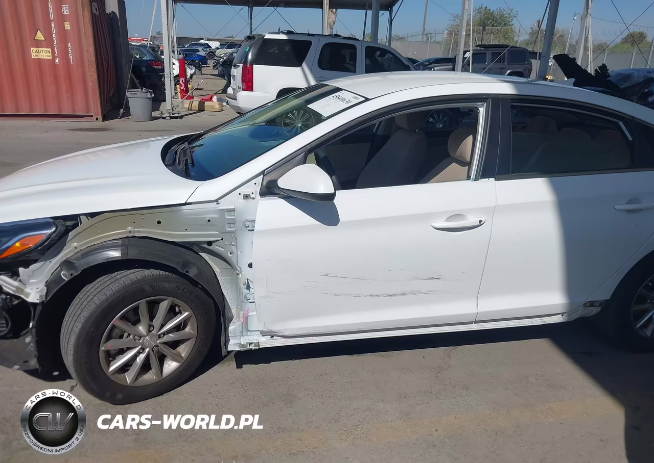 2019 Hyundai Sonata Se VIN:5NPE24AF5KH756665 - 18