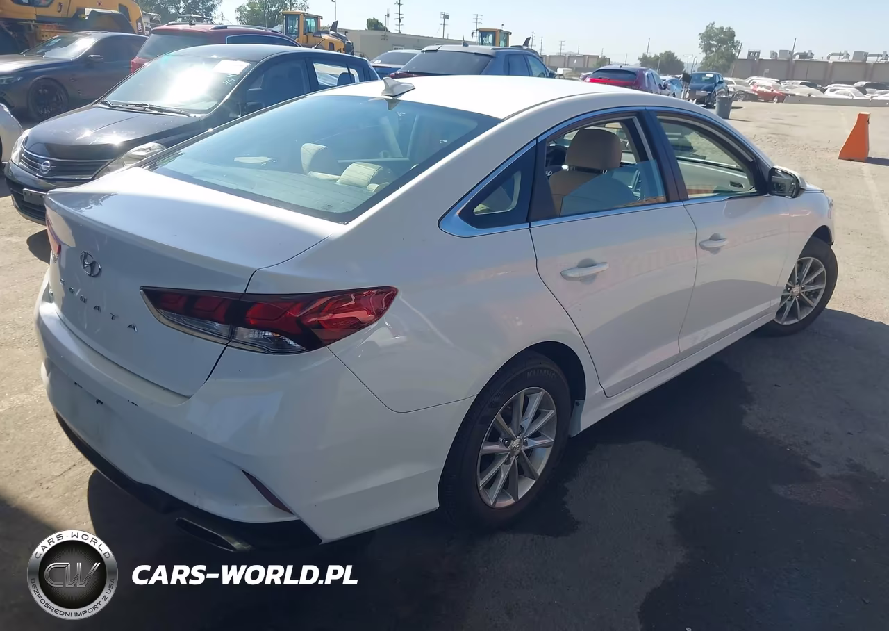 2019 Hyundai Sonata Se VIN:5NPE24AF5KH756665 - 4