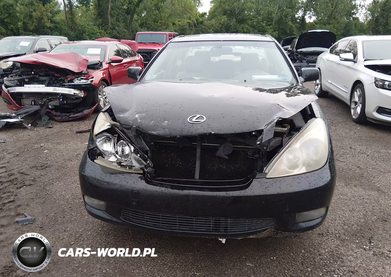 2003 Lexus Es 300 VIN:JTHBF30GX30107629 - 12
