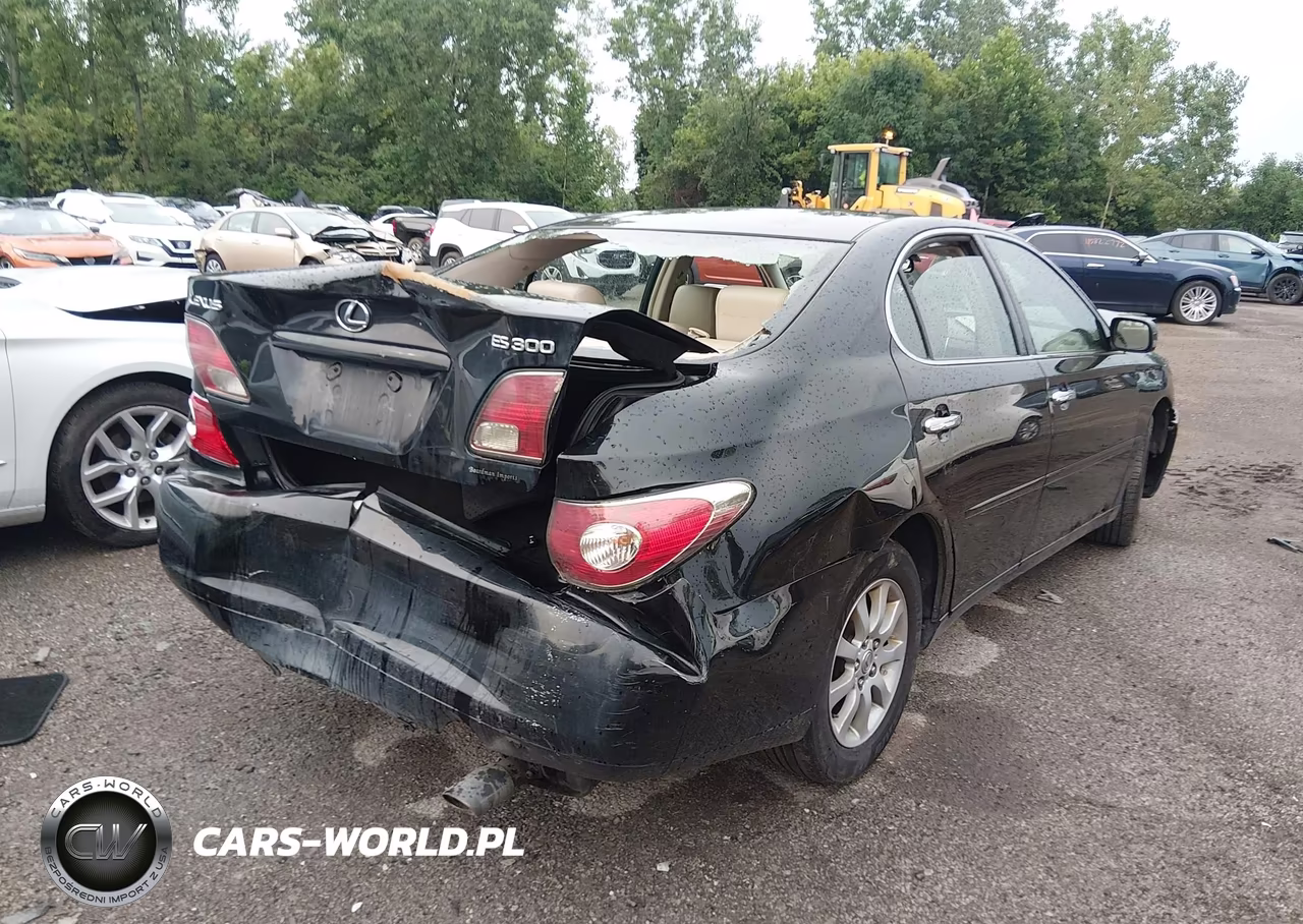 2003 Lexus Es 300 VIN:JTHBF30GX30107629 - 4