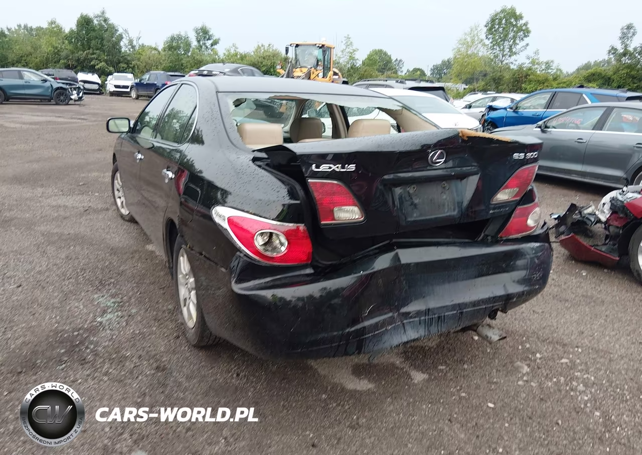 2003 Lexus Es 300 VIN:JTHBF30GX30107629 - 6