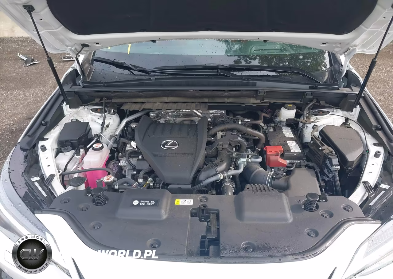 2025 Lexus Nx 350 F Sport Handling VIN:2T2KGCEZ3SC074935 - 10