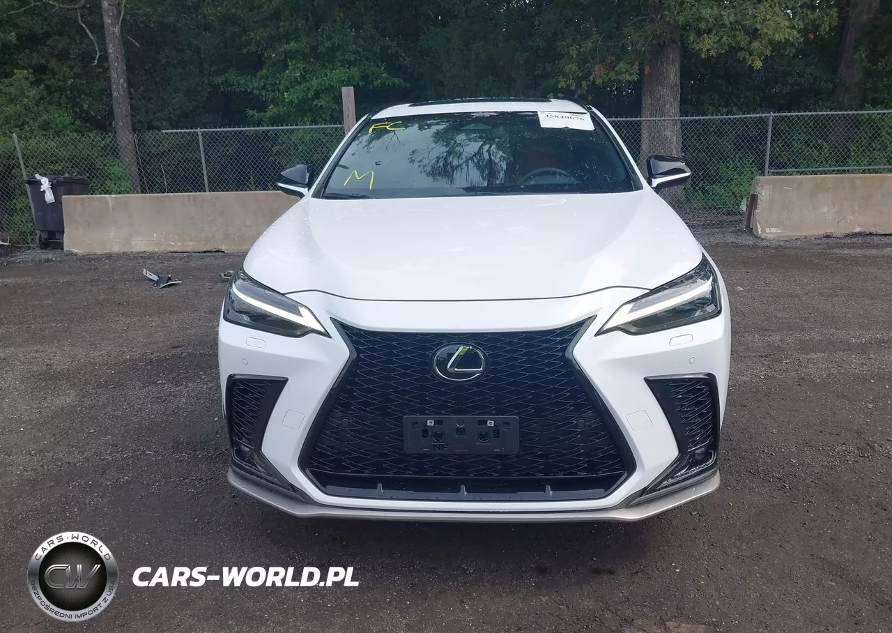 2025 Lexus Nx 350 F Sport Handling VIN:2T2KGCEZ3SC074935 - 12