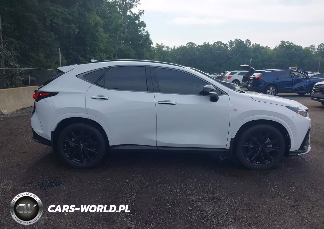 2025 Lexus Nx 350 F Sport Handling VIN:2T2KGCEZ3SC074935 - 13