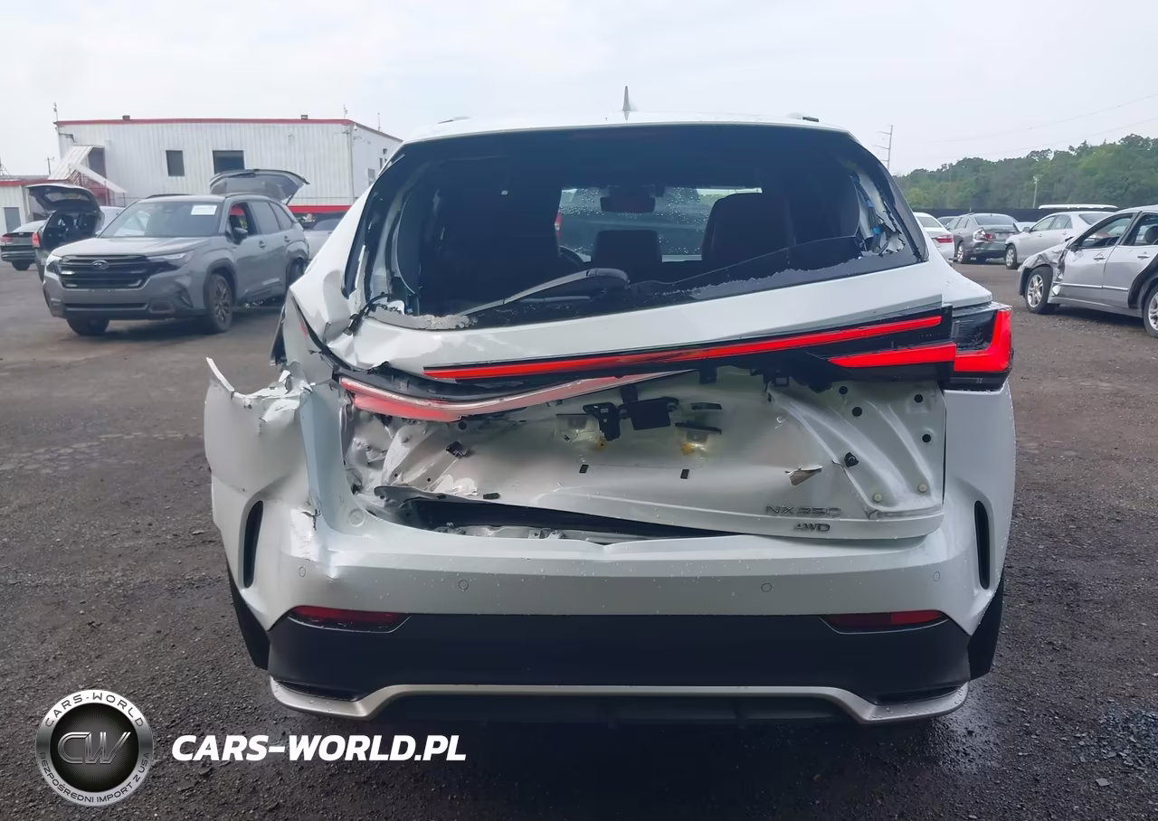 2025 Lexus Nx 350 F Sport Handling VIN:2T2KGCEZ3SC074935 - 16