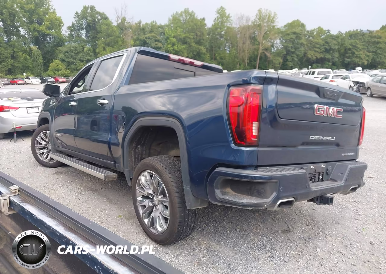 2023 GMC Sierra 1500 Denali VIN:3GTUUGED4PG239485 - 3
