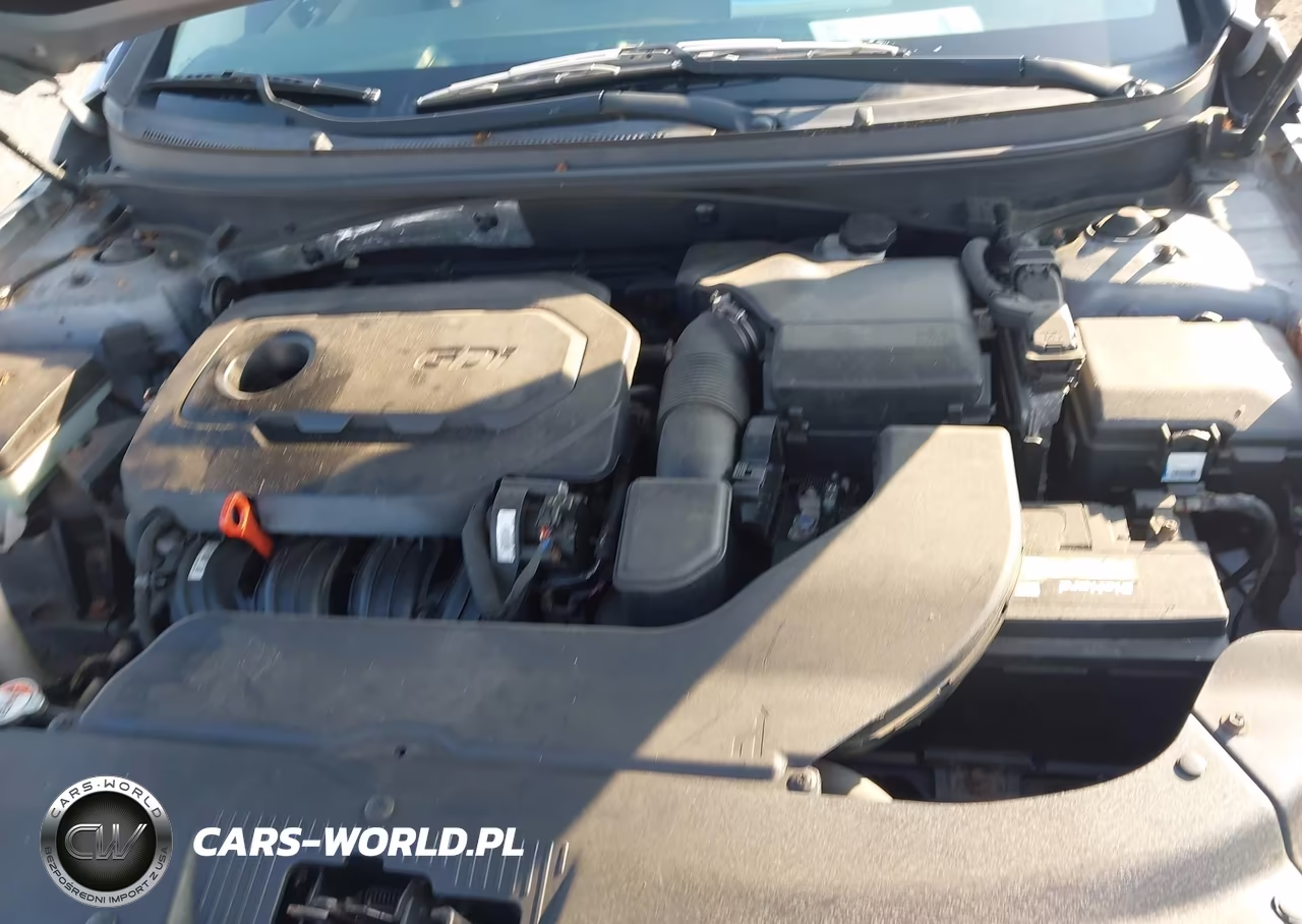 2016 Hyundai Sonata Se VIN:5NPE24AF1GH407929 - 10