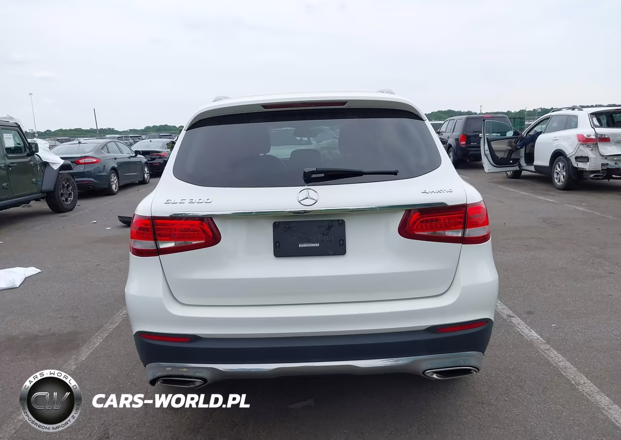 2019 Mercedes-Benz Glc 300 4Matic VIN:WDC0G4KB0KF558457 - 16