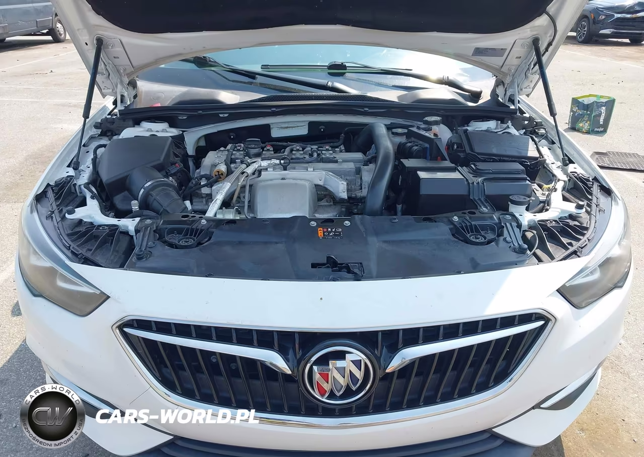 2019 Buick Regal Sportback Fwd Preferred VIN:W04GL6SX9K1072227 - 10