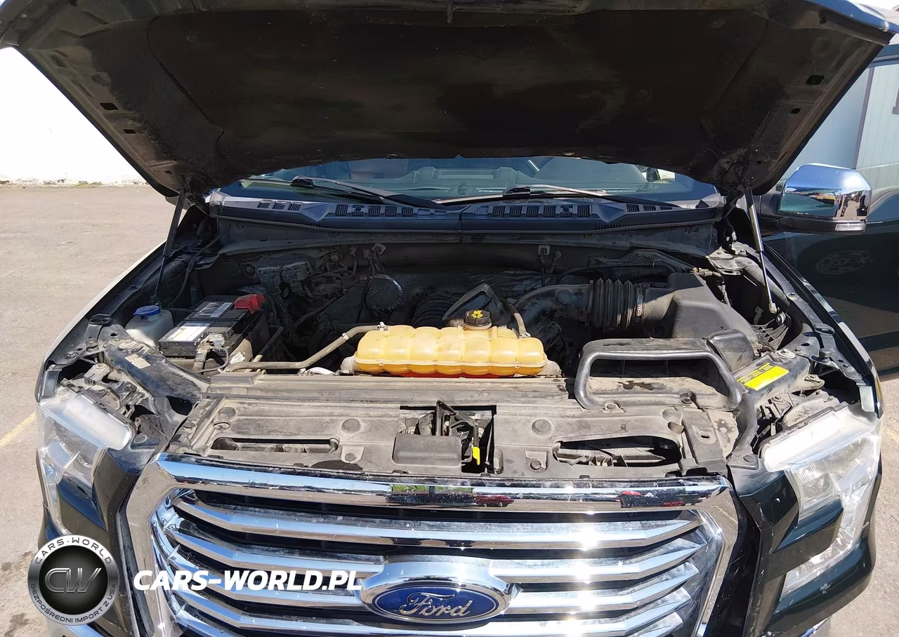 2015 Ford F-150 Xlt VIN:1FTEW1EF8FFB15006 - 10