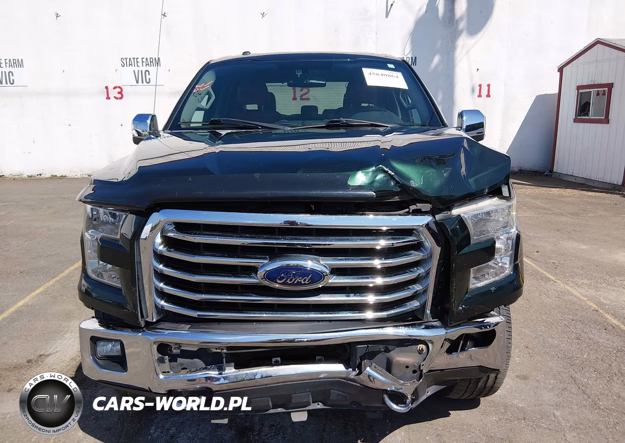 2015 Ford F-150 Xlt VIN:1FTEW1EF8FFB15006 - 12