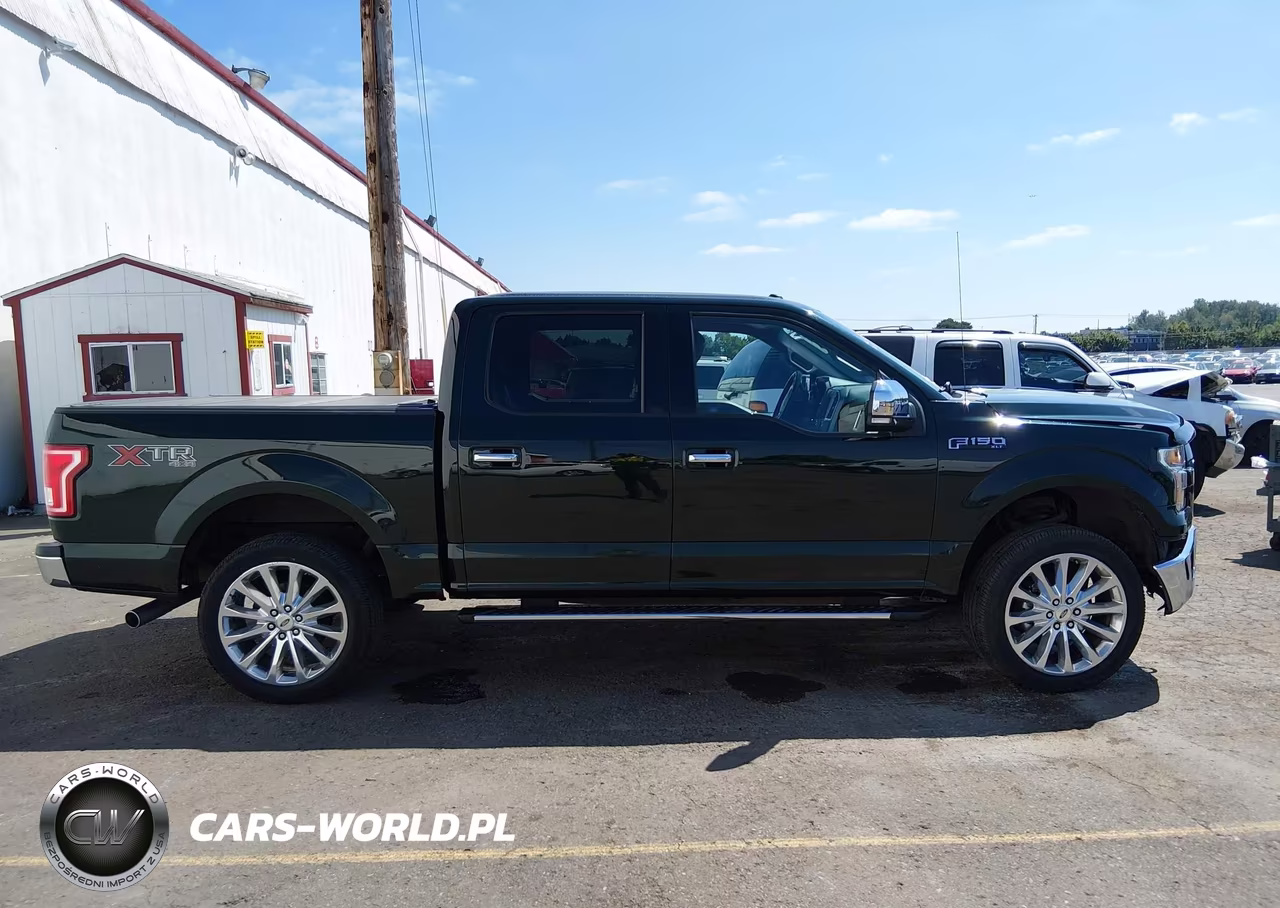 2015 Ford F-150 Xlt VIN:1FTEW1EF8FFB15006 - 13