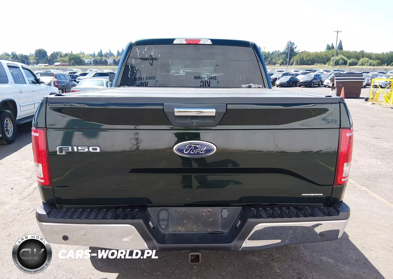2015 Ford F-150 Xlt VIN:1FTEW1EF8FFB15006 - 16
