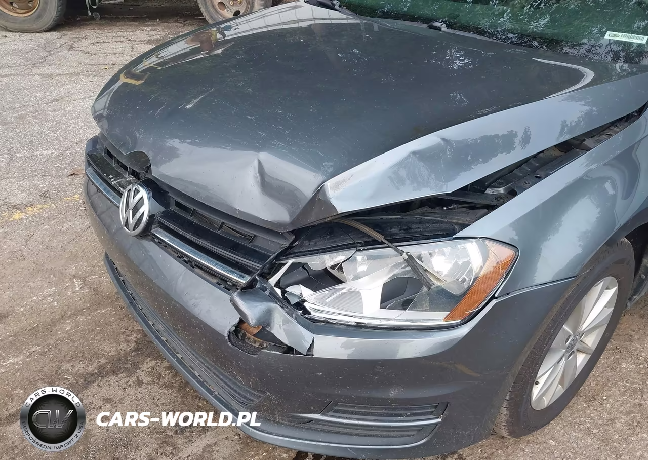 2015 Volkswagen Golf Sportwagen Tsi S 4-Door VIN:3VWC17AU9FM501105 - 6