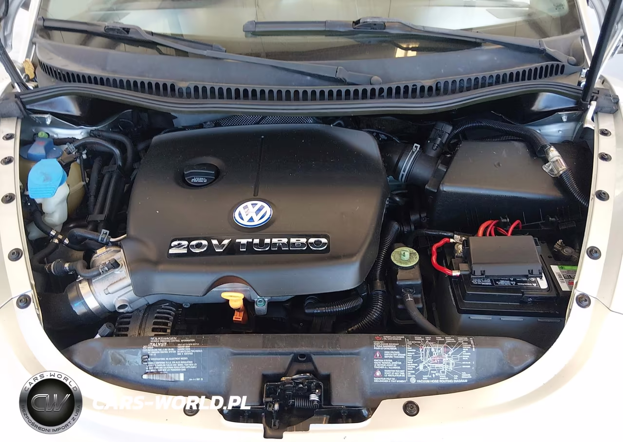 2001 Volkswagen New Beetle Sport Edition VIN:3VWED21C91M476595 - 10