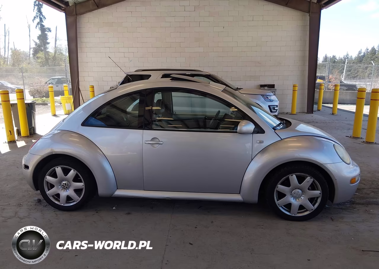 2001 Volkswagen New Beetle Sport Edition VIN:3VWED21C91M476595 - 13