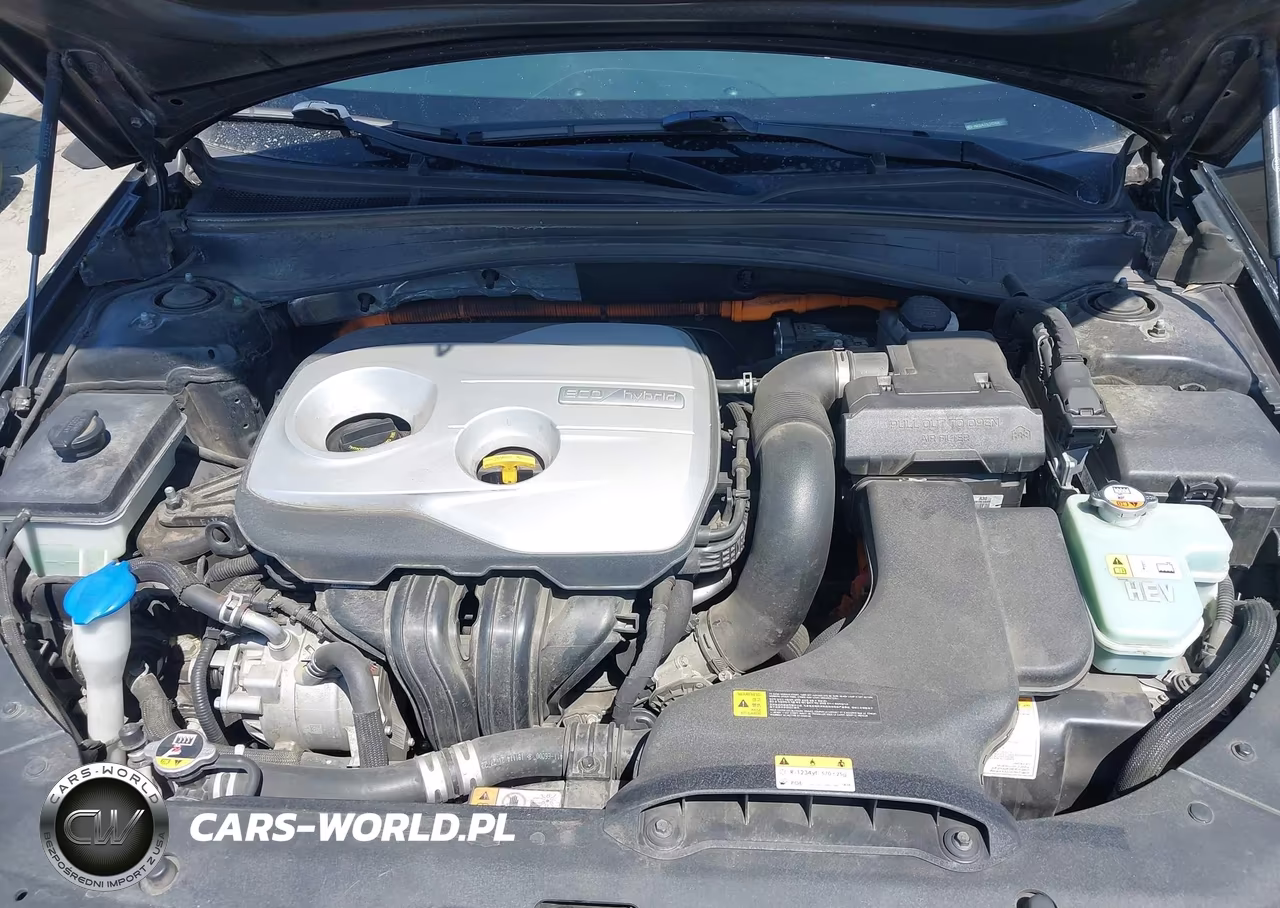 2020 Kia Optima Hybrid Ex VIN:KNAGU4LE0L5037636 - 10