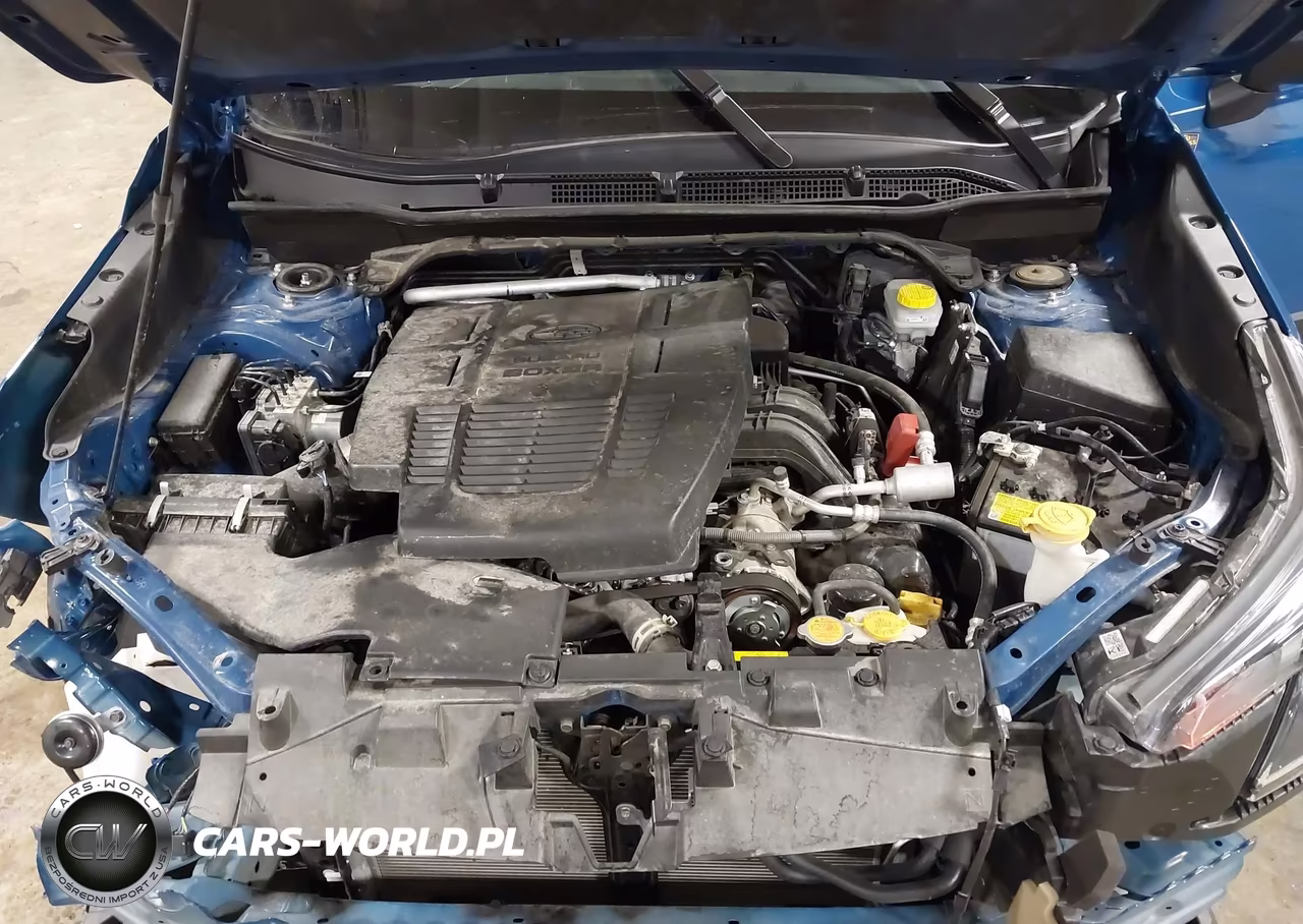 2024 Subaru Forester Wilderness VIN:JF2SKAJC1RH525327 - 10
