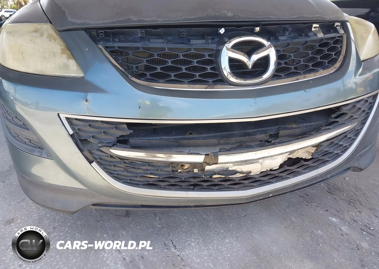 2010 Mazda Cx-9 Touring VIN:JM3TB2MA5A0237856 - 6