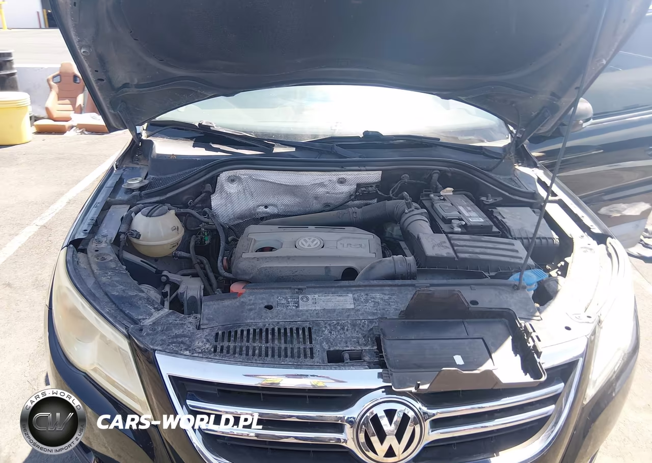 2010 Volkswagen Tiguan S VIN:WVGAV7AXXAW532330 - 10