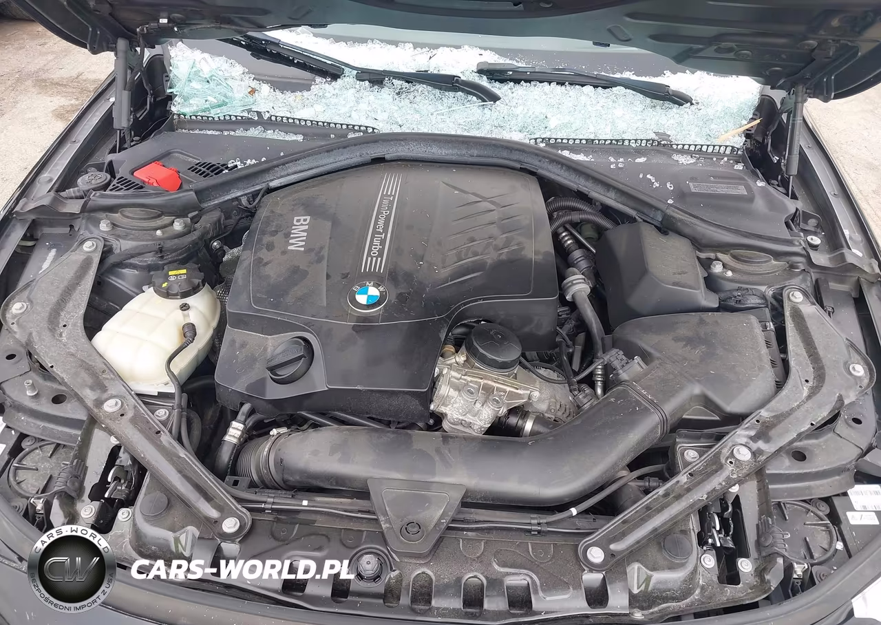 2015 BMW 435I xDrive VIN:WBA3T7C50FPW79933 - 10