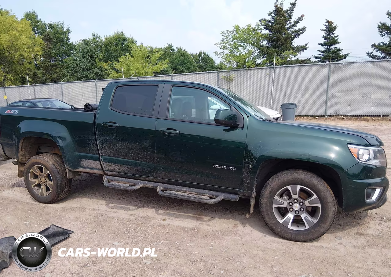 2015 Chevrolet Colorado 4Wd Z71 VIN:1GCGTCE31F1231311 - 12