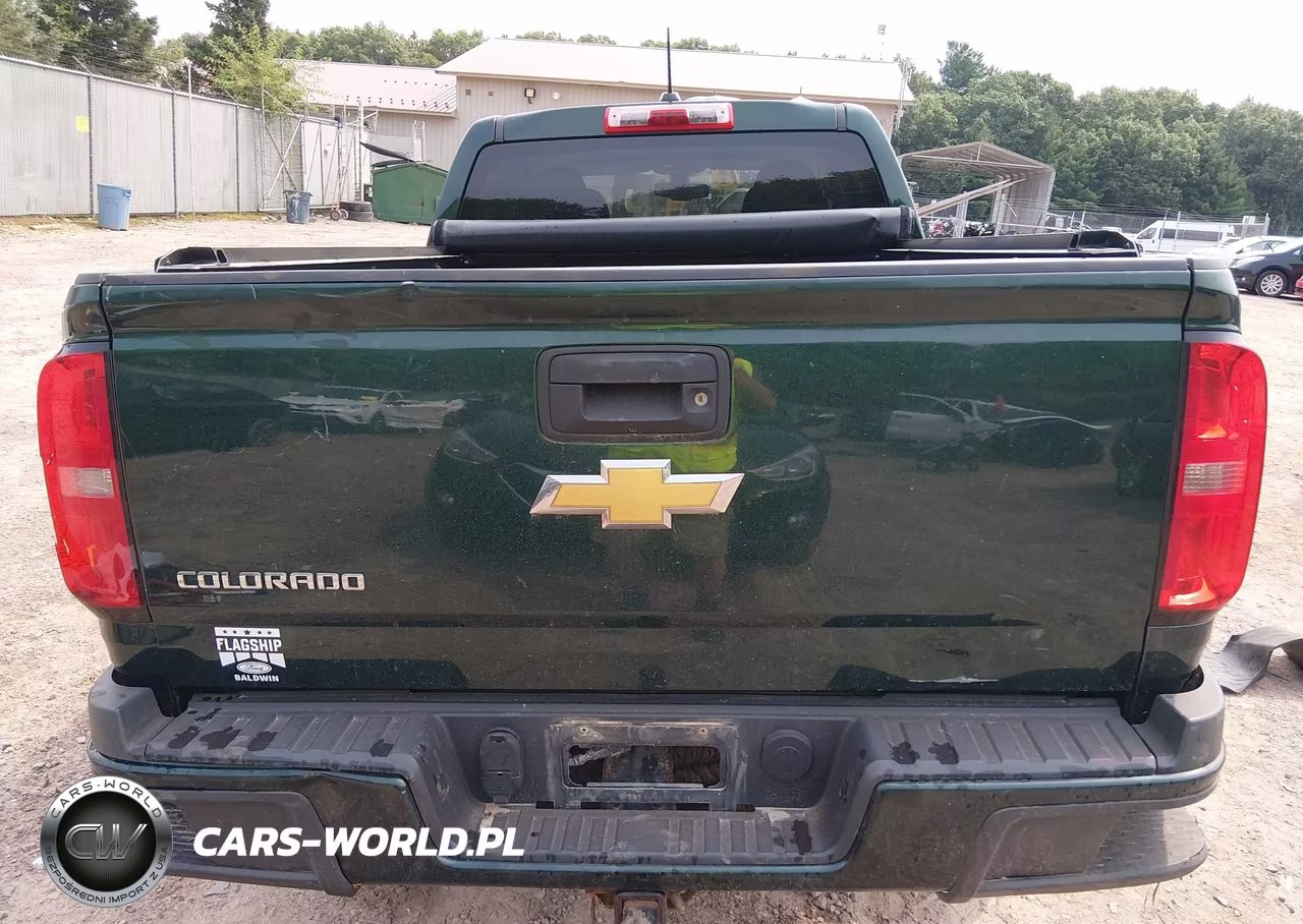 2015 Chevrolet Colorado 4Wd Z71 VIN:1GCGTCE31F1231311 - 15