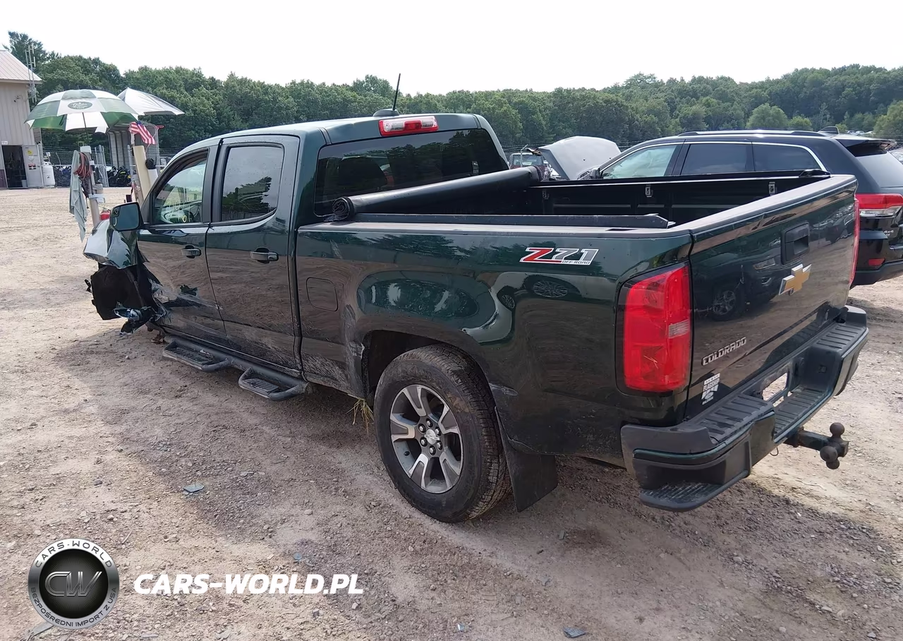 2015 Chevrolet Colorado 4Wd Z71 VIN:1GCGTCE31F1231311 - 3