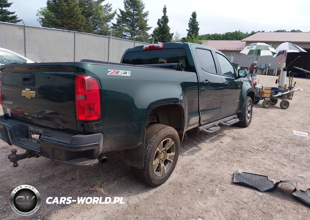 2015 Chevrolet Colorado 4Wd Z71 VIN:1GCGTCE31F1231311 - 4