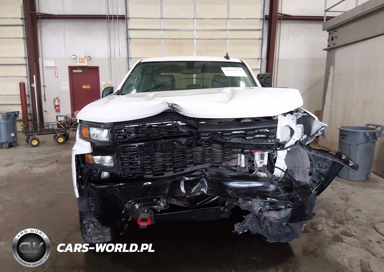 2019 Chevrolet Silverado 1500 Custom Trail Boss VIN:3GCPYCEF2KG264972 - 12