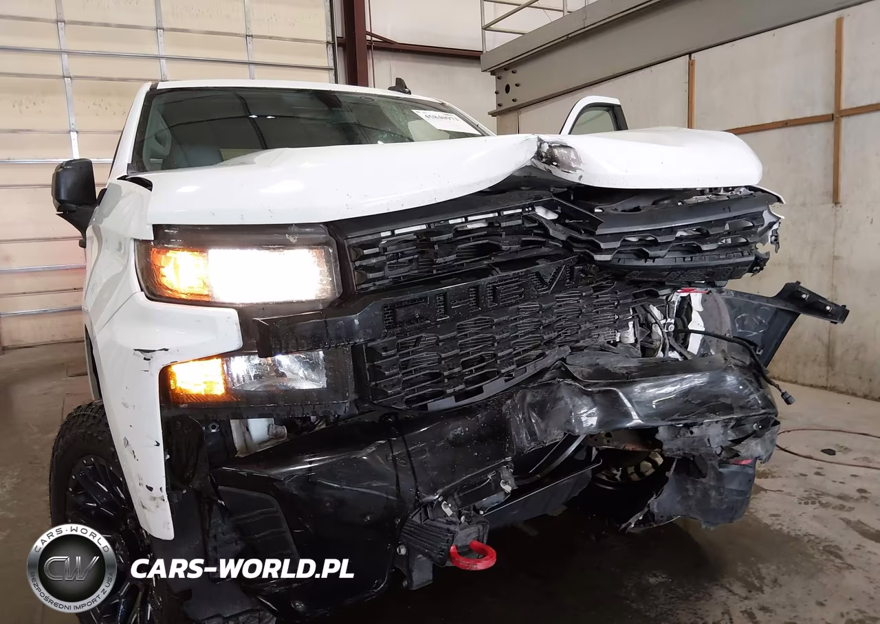 2019 Chevrolet Silverado 1500 Custom Trail Boss VIN:3GCPYCEF2KG264972 - 17