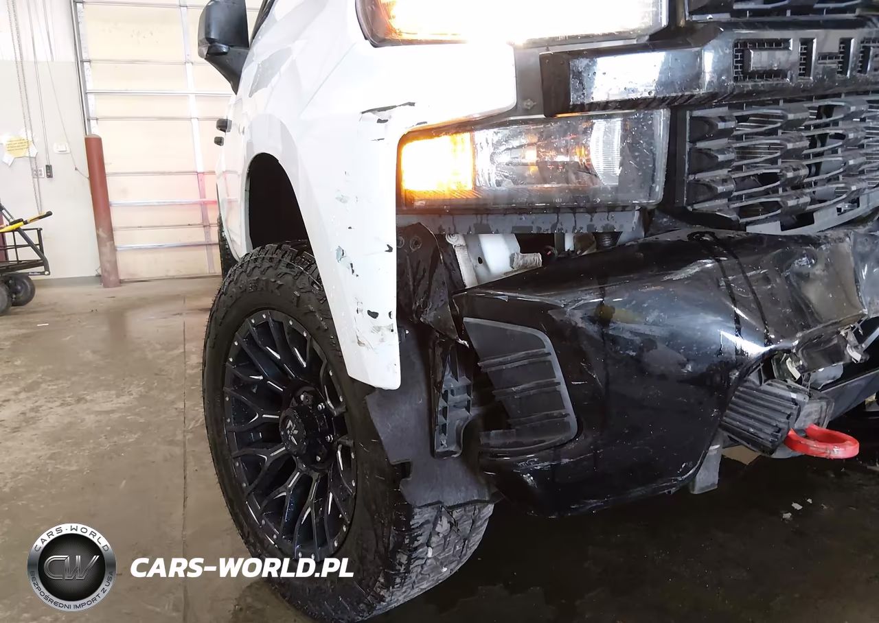 2019 Chevrolet Silverado 1500 Custom Trail Boss VIN:3GCPYCEF2KG264972 - 18