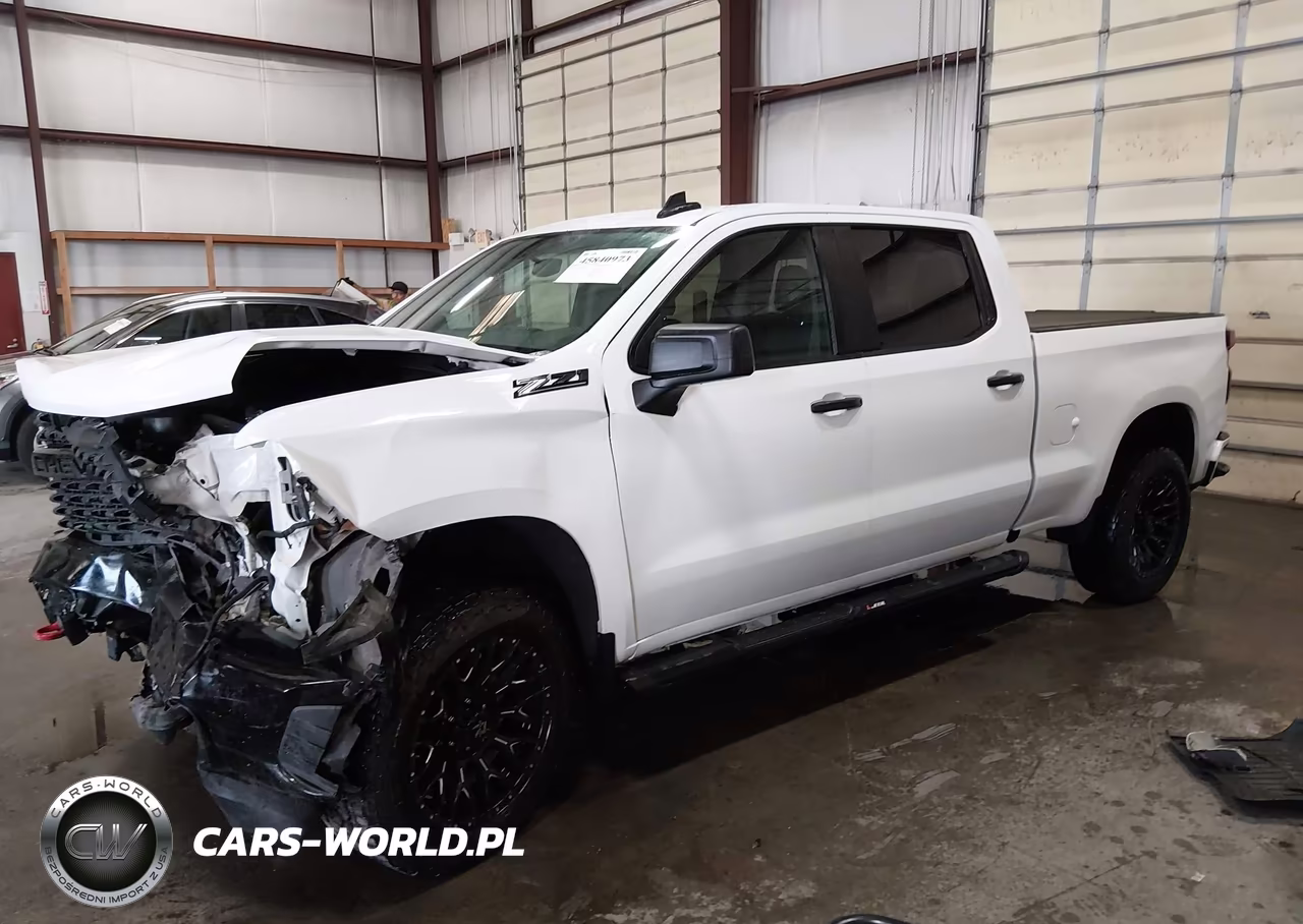 2019 Chevrolet Silverado 1500 Custom Trail Boss VIN:3GCPYCEF2KG264972 - 2